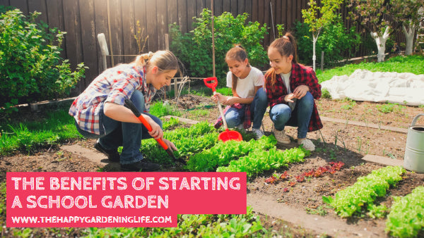 The Benefits of Starting a School Garden