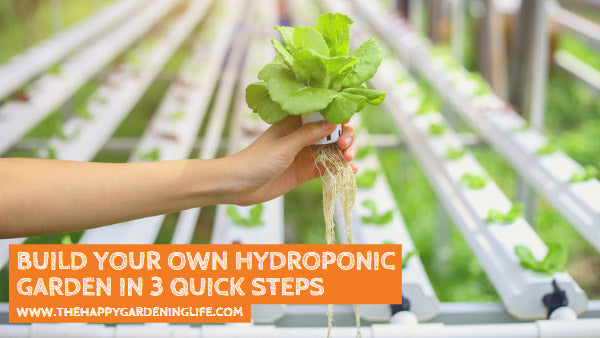 Build Your Own Hydroponic Garden in 3 Quick Steps