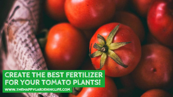Create the Best Fertilizer for Your Tomato Plants!