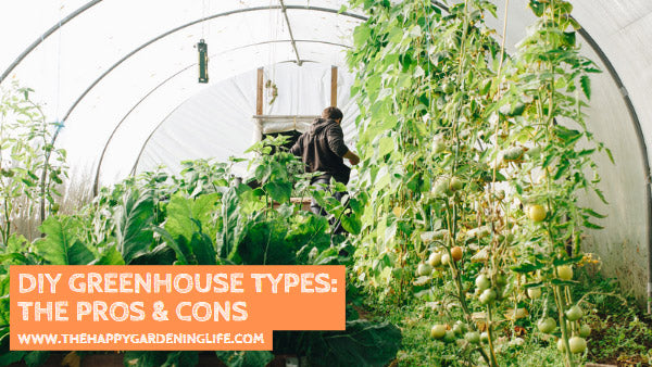 DIY Greenhouse Types: The Pros & Cons
