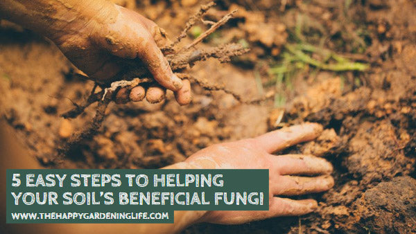 5 Easy Steps to Helping Your Soil’s Beneficial Fungi