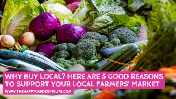 Why Buy Local? Here are 5 Good Reasons to Support Your Local Farmers' Market
