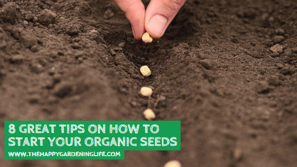 8 Great Tips on How to Start Your Organic Seeds