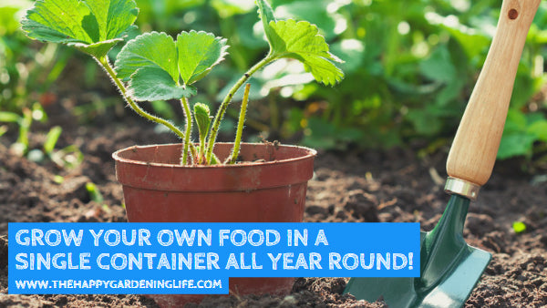 Grow Your Own Food in a Single Container All Year Round!