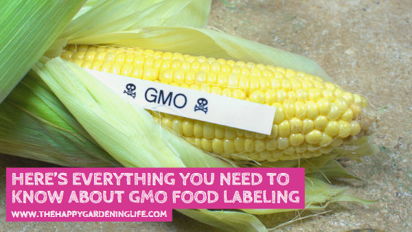 Here’s Everything You Need to Know About GMO Food Labeling