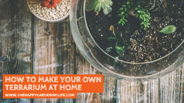 How to Make Your Own Terrarium at Home