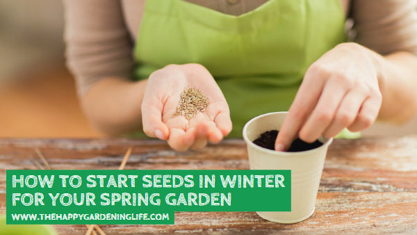 How to Start Seeds in Winter for Your Spring Garden