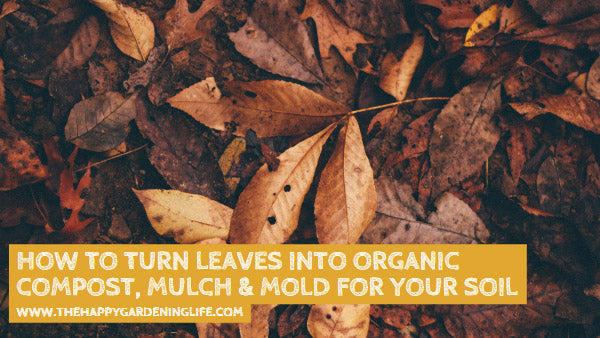 How to Turn Leaves Into Organic Compost, Mulch & Mold for Your Soil