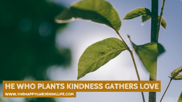 He Who Plants Kindness Gathers Love