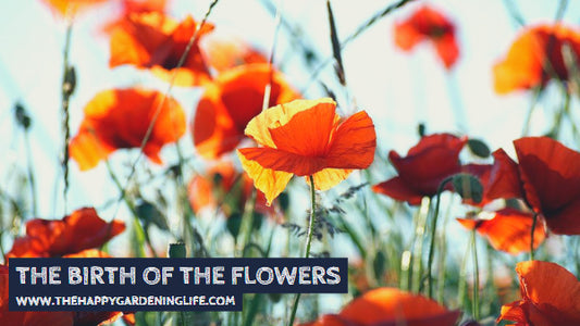 The Birth Of The Flowers