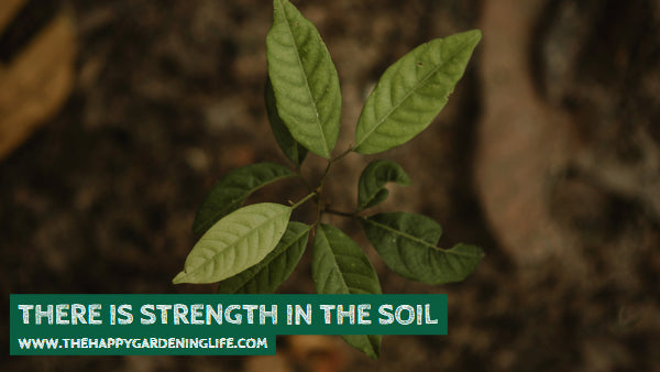 There Is Strength In The Soil