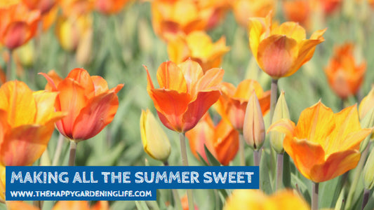 Making All The Summer Sweet