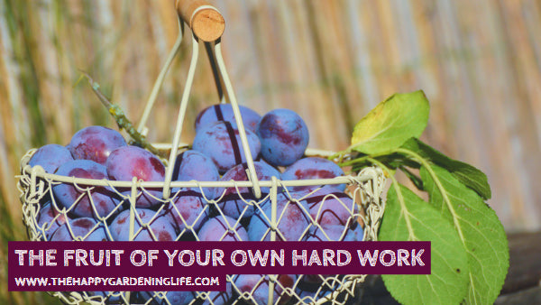 The Fruit Of Your Own Hard Work