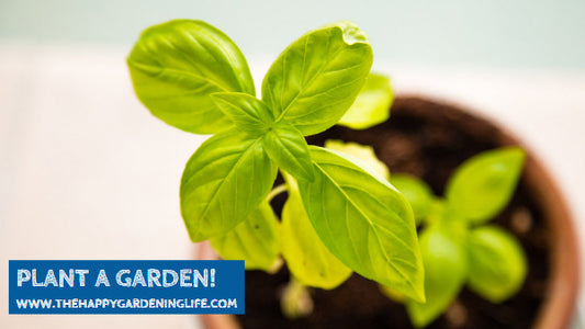 Plant A Garden