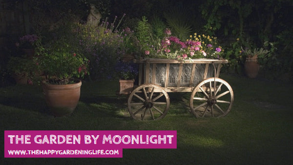 The Garden By Moonlight