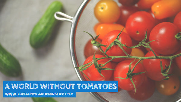 A World Without Tomatoes