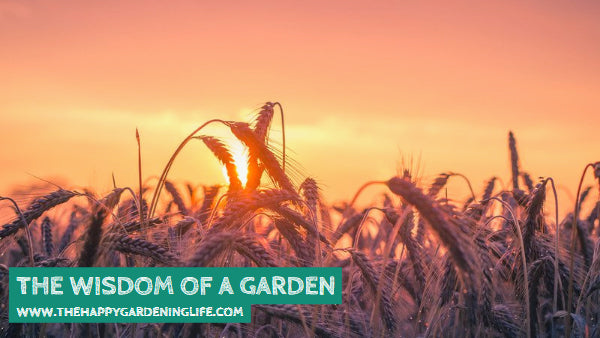 The Wisdom Of A Garden