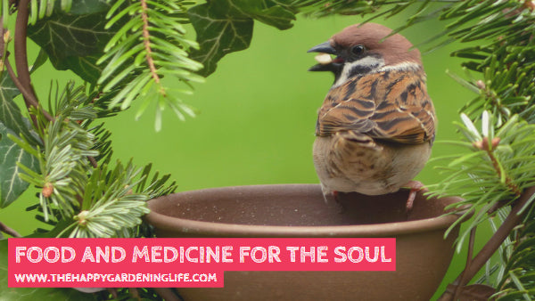 Food And Medicine For The Soul