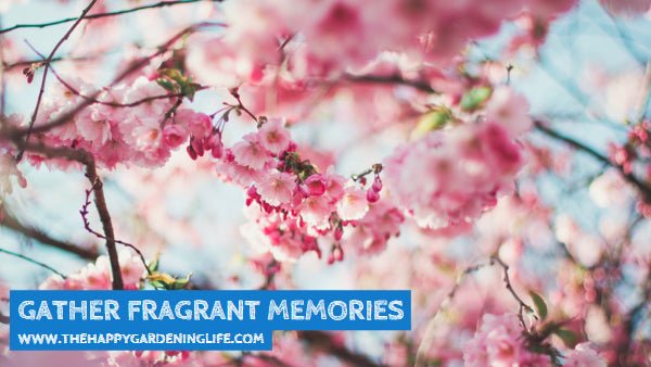 Gather Fragrant Memories
