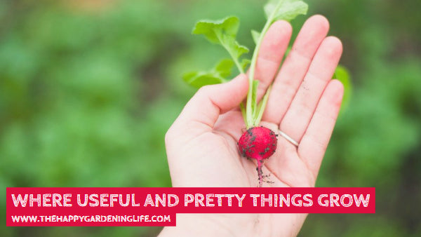 Where Useful And Pretty Things Grow