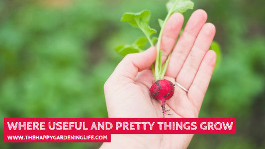 Where Useful And Pretty Things Grow