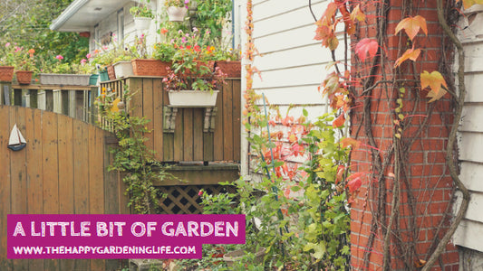 A Little Bit Of Garden