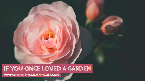 If You Once Loved A Garden