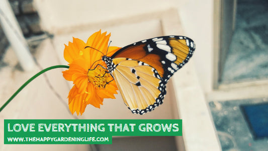 Love Everything That Grows