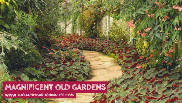 Magnificent Old Gardens