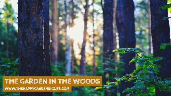 The Garden In The Woods