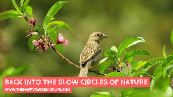 Back Into The Slow Circles Of Nature