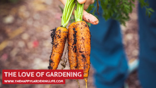 The Love Of Gardening