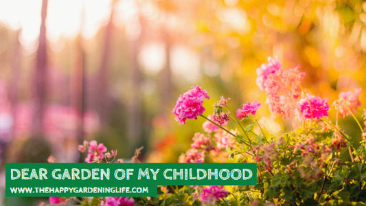 Dear Garden Of My Childhood