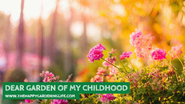 Dear Garden Of My Childhood