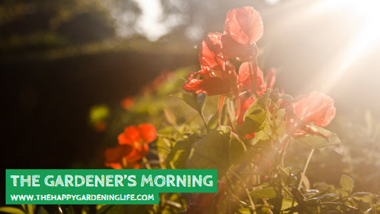 The Gardener's Morning