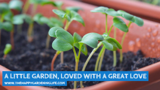 A Little Garden, Loved With A Great Love