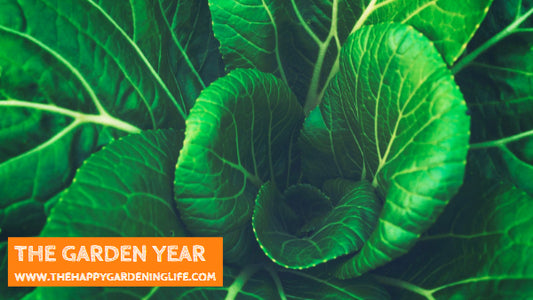 The Garden Year