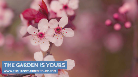 The Garden Is Yours