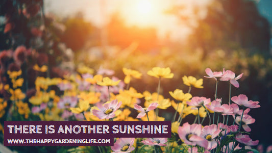 There Is Another Sunshine