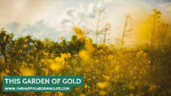 This Garden Of Gold