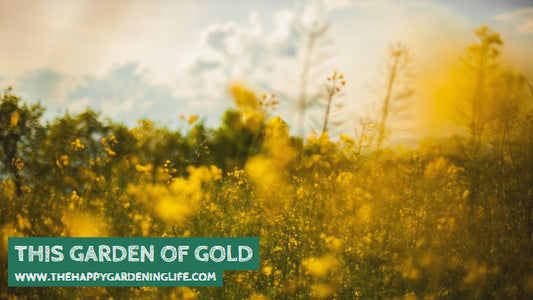 This Garden Of Gold