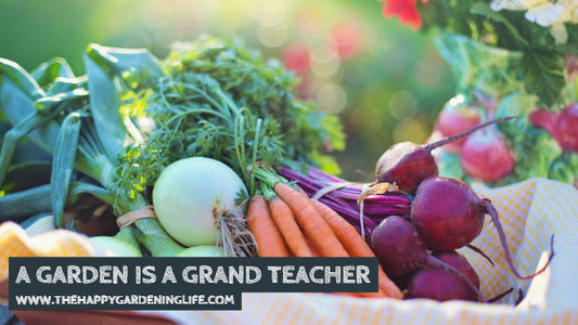 A Garden Is A Grand Teacher