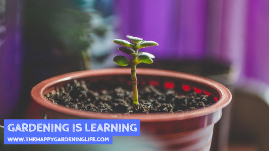 Gardening Is Learning