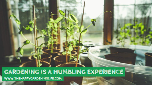Gardening Is A Humbling Experience