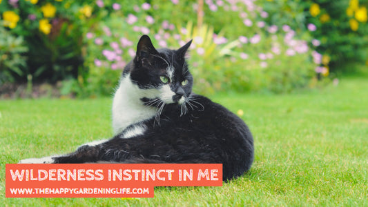 Wilderness Instinct In Me
