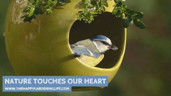 Nature Touches Our Heart