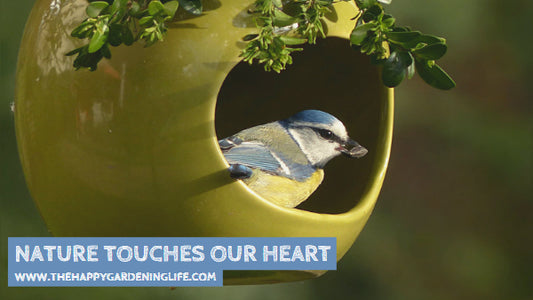 Nature Touches Our Heart
