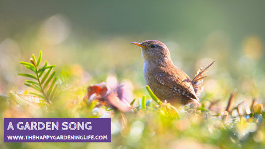 A Garden Song