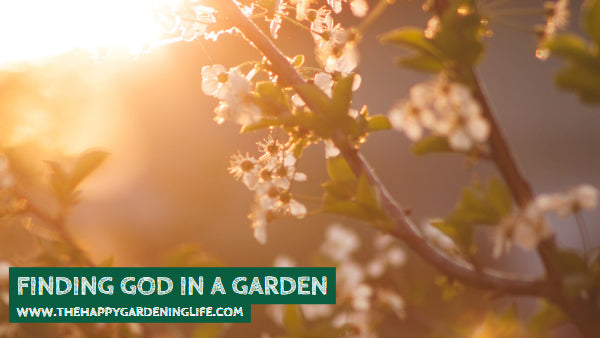 Finding God In A Garden