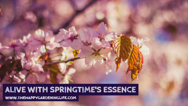 Alive With Springtime's Essence